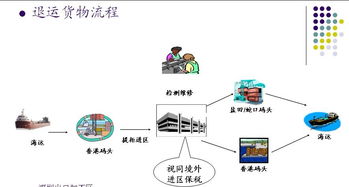 深圳坪山保稅區(qū)保稅倉(cāng)庫(kù)出租與信息處理存儲(chǔ)支持服務(wù)詳解