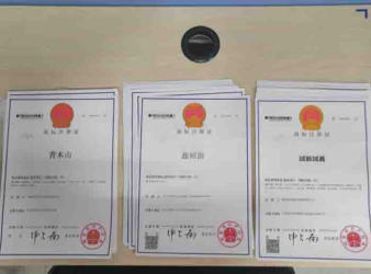 注冊公司 代理記賬公司注冊提供個體戶注冊、內資公司注冊服務